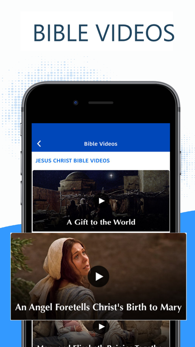 Holy Catholic Bible゜