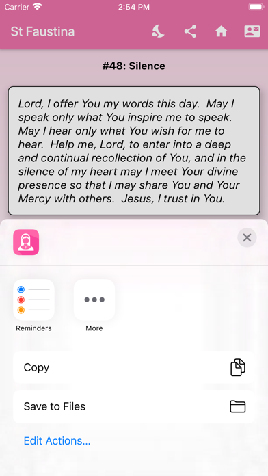 Reflections on Divine Mercy screenshot 4
