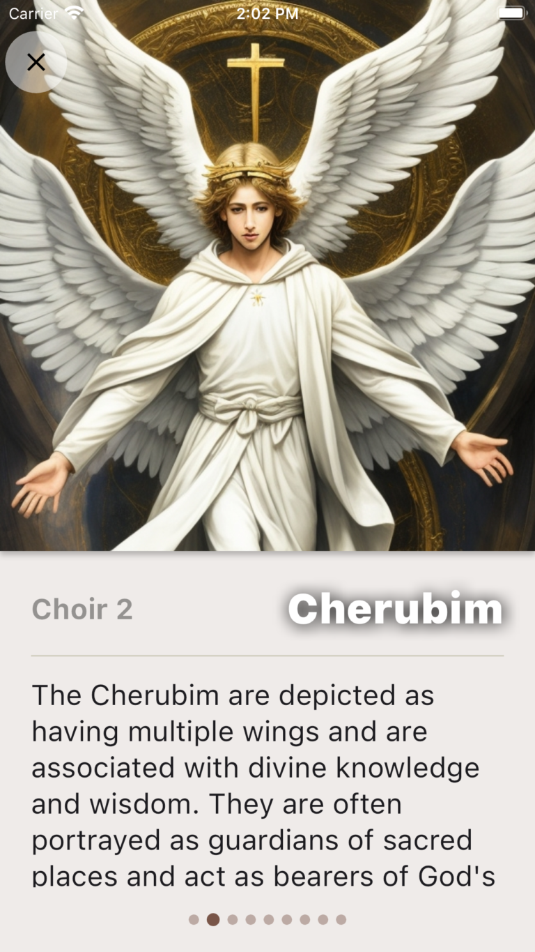 Nine Choirs Of Angels screenshot 2